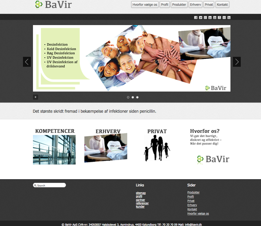BaVir ApS, hjemmeside design, logo, concept development